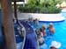 cozumel (11119)