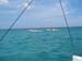 cozumel (11149)