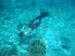 cozumel (11172)