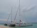 cozumel (11180)