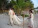 wedding (11127)
