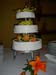 wedding (11160)