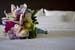 Wedding (101112)