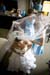 Wedding (101122)