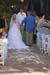 Wedding (101141)