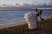 Wedding (101190)