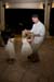 Wedding (101204)
