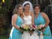 Wedding (101231)